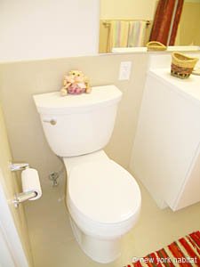 New York 2 Bedroom roommate share apartment - bathroom 1 (NY-14322) photo 2 of 4