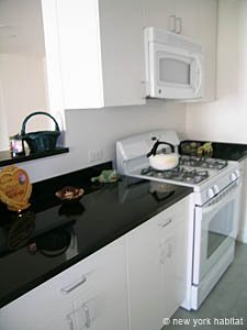 New York 2 Bedroom roommate share apartment - kitchen (NY-14322) photo 2 of 3