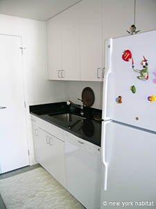 New York 2 Bedroom roommate share apartment - kitchen (NY-14322) photo 3 of 3