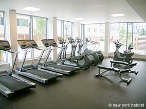New York 2 Bedroom roommate share apartment - other (NY-14322) photo 4 of 12