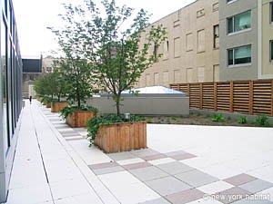 New York 2 Bedroom roommate share apartment - other (NY-14322) photo 5 of 12