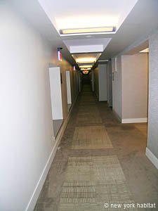 New York 2 Bedroom roommate share apartment - other (NY-14322) photo 7 of 12