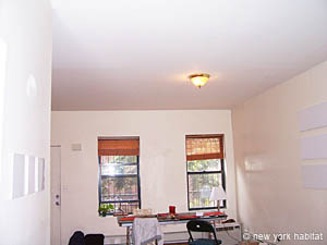 New York 2 Zimmer wohngemeinschaft - wohnzimmer (NY-14328) photo 5 von 6