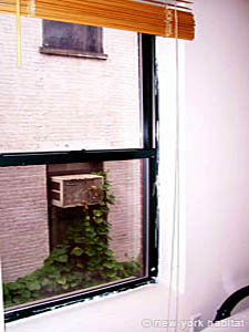 New York 2 Zimmer wohngemeinschaft - schlafzimmer 1 (NY-14328) photo 2 von 6