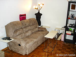 New York 3 Zimmer wohngemeinschaft - wohnzimmer (NY-14343) photo 1 von 5