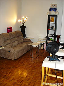 New York 3 Zimmer wohngemeinschaft - wohnzimmer (NY-14343) photo 5 von 5