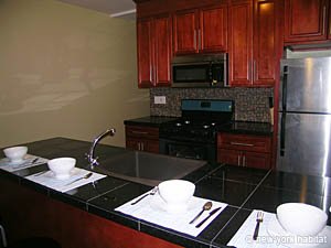 New York T4 logement location appartement - cuisine (NY-14347) photo 6 sur 7