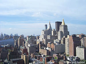 New York 1 Bedroom apartment - living room (NY-14348) photo 9 of 10