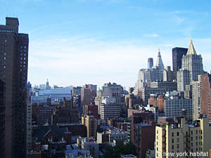 New York 1 Bedroom apartment - living room (NY-14348) photo 5 of 10
