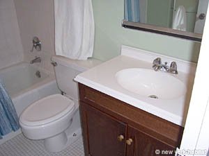 New York T2 logement location appartement - salle d'eau 1 (NY-14350) photo 1 sur 2