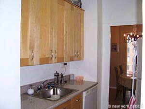 New York T2 logement location appartement - cuisine (NY-14350) photo 1 sur 3