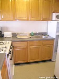 New York 1 Bedroom apartment - kitchen (NY-14353) photo 1 of 5