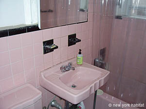New York T2 logement location appartement - salle d'eau (NY-14357) photo 3 sur 4
