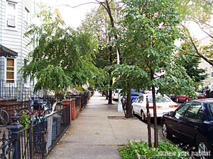 New York T2 logement location appartement - autre (NY-14357) photo 8 sur 9
