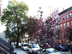 New York T3 appartement location vacances - autre (NY-14362) photo 10 sur 10
