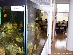 New York T3 appartement colocation - s&eacute;jour (NY-14377) photo 10 sur 10