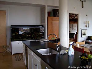 New York T3 appartement colocation - cuisine (NY-14377) photo 2 sur 6
