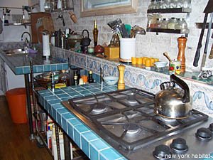 New York 1 Bedroom - Loft accommodation - kitchen 1 (NY-14379) photo 3 of 7