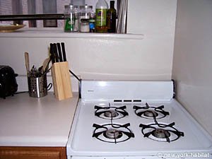 New York T3 appartement colocation - cuisine (NY-14389) photo 2 sur 5