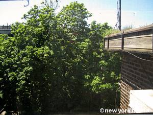 New York 2 Bedroom - Duplex accommodation bed breakfast - bedroom (NY-14447) photo 4 of 4