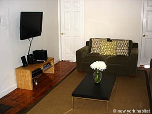 New York T3 logement location appartement - s&eacute;jour (NY-14499) photo 2 sur 5