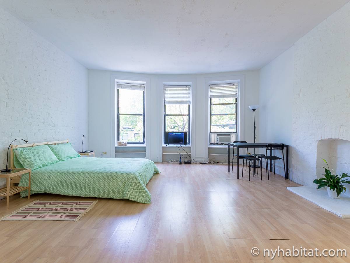 New York Apartment Studio Apartment Rental in Upper West Side (NY14634)