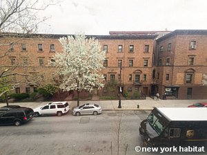 New York Studio accommodation - living room (NY-14638) photo 8 of 8