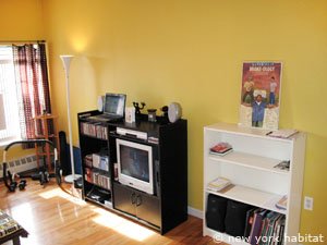 New York T3 appartement colocation - s&eacute;jour (NY-14686) photo 2 sur 5