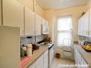 New York 2 Bedroom roommate share apartment - kitchen (NY-14798) photo 2 of 6