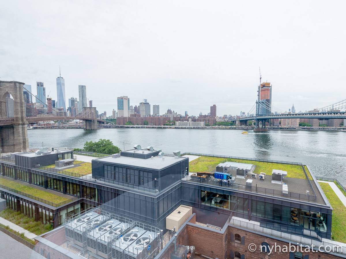 New York Apartment Alcove Studio Loft Apartment Rental in Dumbo (NY14834)