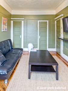 New York 3 Bedroom - Duplex accommodation - living room 2 (NY-14878) photo 4 of 6