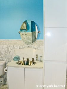 New York Studio avec Alc&ocirc;ve T1 logement location appartement - salle de bain (NY-14967) photo 2 sur 4