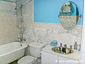 New York Studio avec Alc&ocirc;ve T1 logement location appartement - salle de bain (NY-14967) photo 1 sur 4