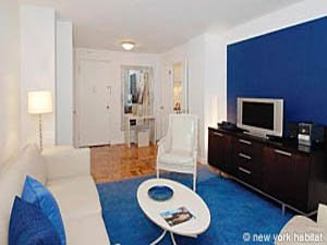 New York 2 Bedroom apartment - living room (NY-15052) photo 2 of 2