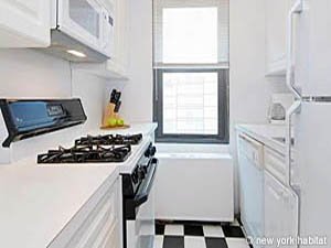 New York 2 Bedroom apartment - kitchen (NY-15052) photo 1 of 1