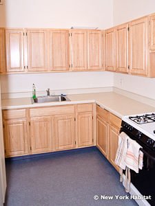 New York 1 Bedroom apartment - kitchen (NY-15106) photo 1 of 2