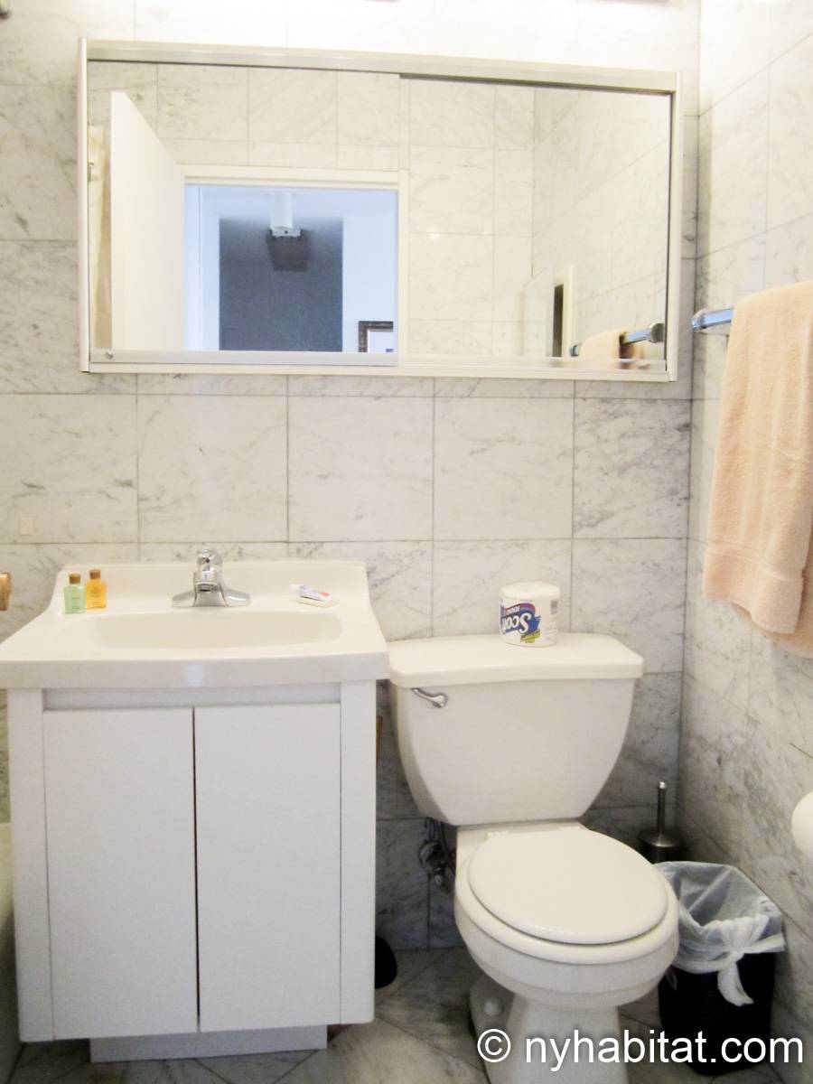 New York Apartment Studio Apartment Rental in Midtown East (NY15291)