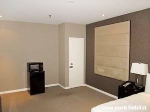 New York Studio apartment - living room (NY-15320) photo 5 of 5 New York Studio apartment - living room (NY-15320) photo 5 of 5