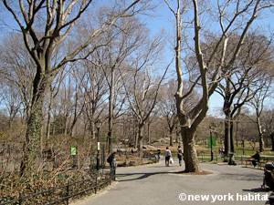 New York 3 Bedroom roommate share apartment - other (NY-15328) photo 15 of 16