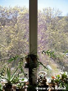 New York T2 - Duplex logement location appartement - chambre (NY-15346) photo 3 sur 4
