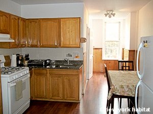 New York Apartment: 1 Bedroom Apartment Rental in Ridgewood, Queens ...