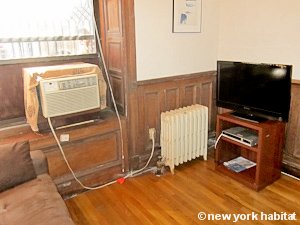 New York Grande monolocale appartamento casa vacanze - soggiorno (NY-15429) photo 2 di 7
