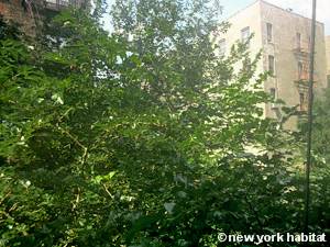 New York Studio apartment - living room (NY-15440) photo 6 of 6