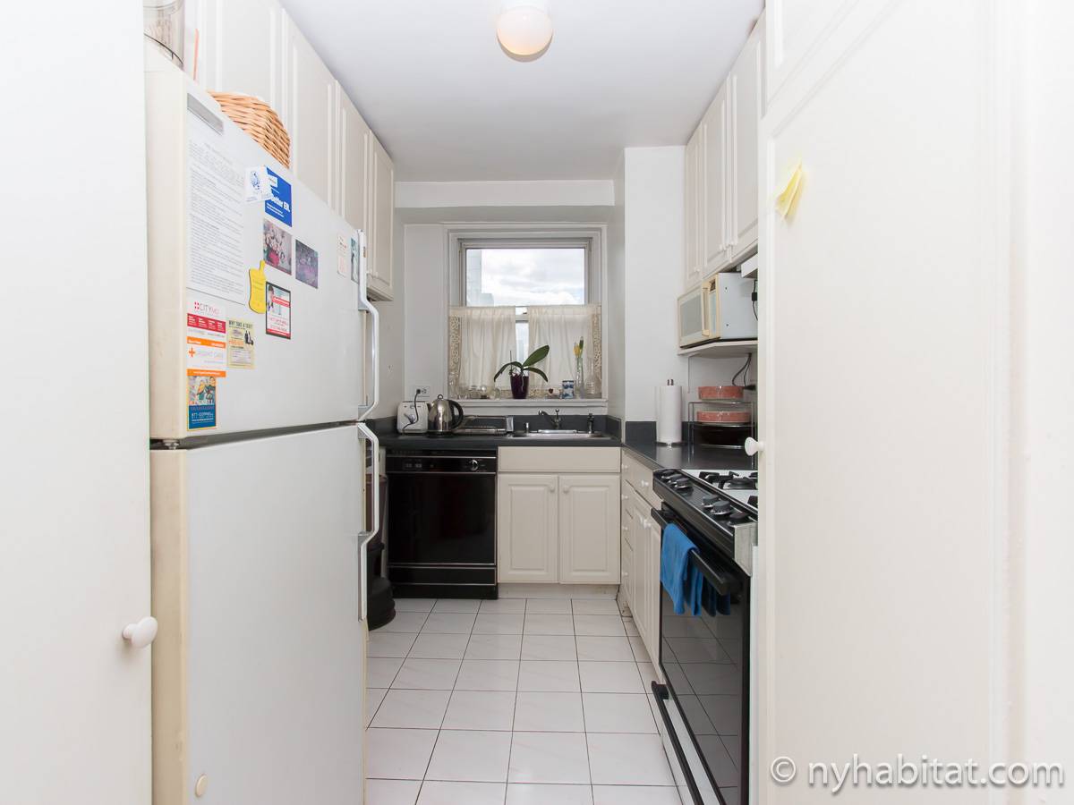 New York Roommate Room for rent in Gramercy 2 Bedroom apartment (NY15451)