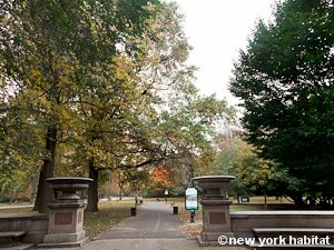 New York Studio apartment - other (NY-15574) photo 4 of 16