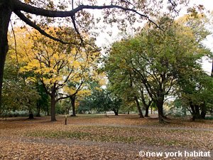 New York Studio apartment - other (NY-15574) photo 6 of 16
