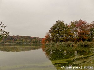 New York Studio apartment - other (NY-15574) photo 8 of 16