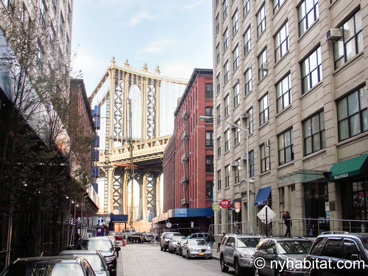 New York Apartment 2 Bedroom Apartment Rental in Vinegar Hill, Brooklyn (NY15608)