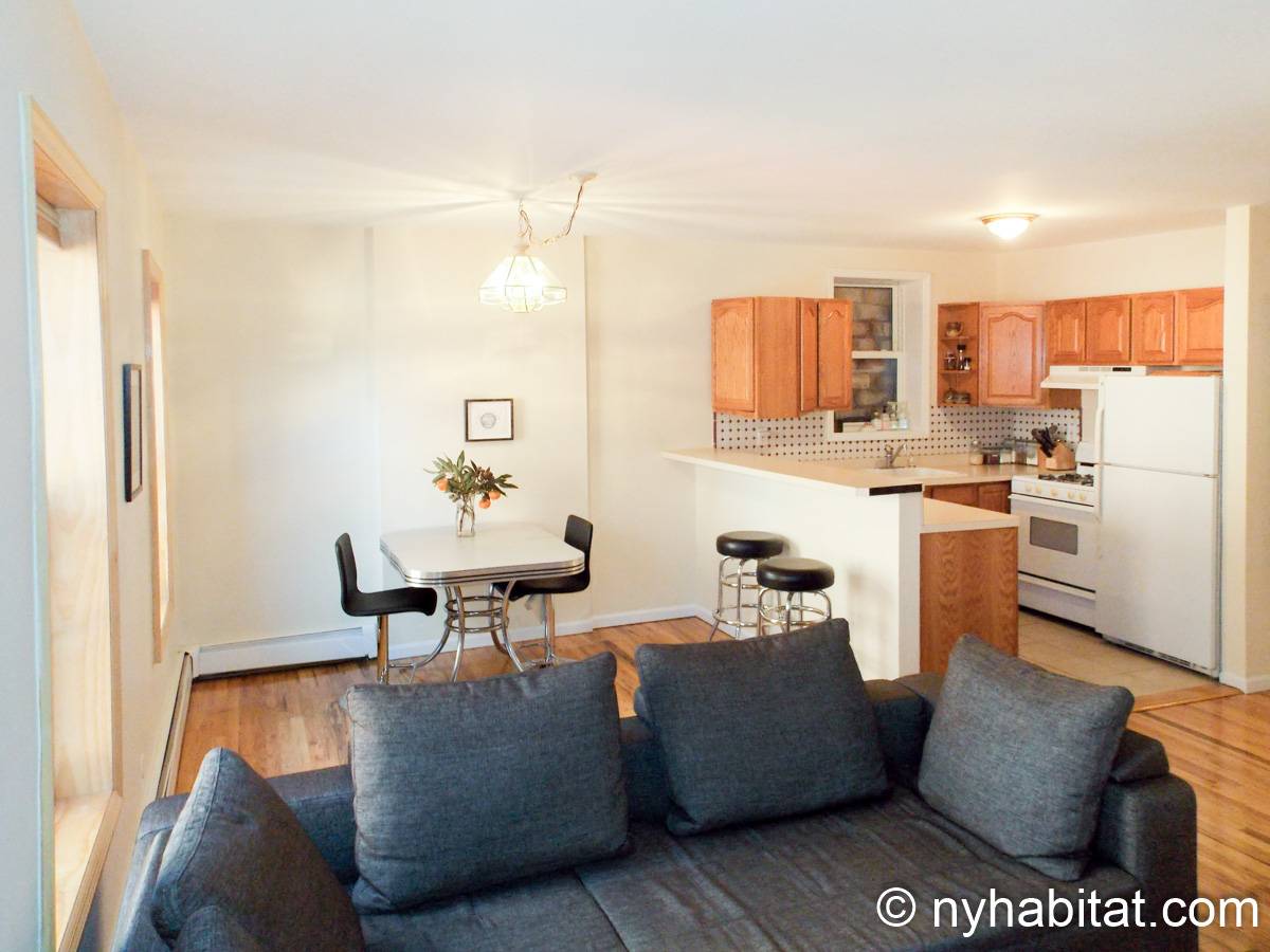 New York Apartment 2 Bedroom Apartment Rental in Vinegar Hill