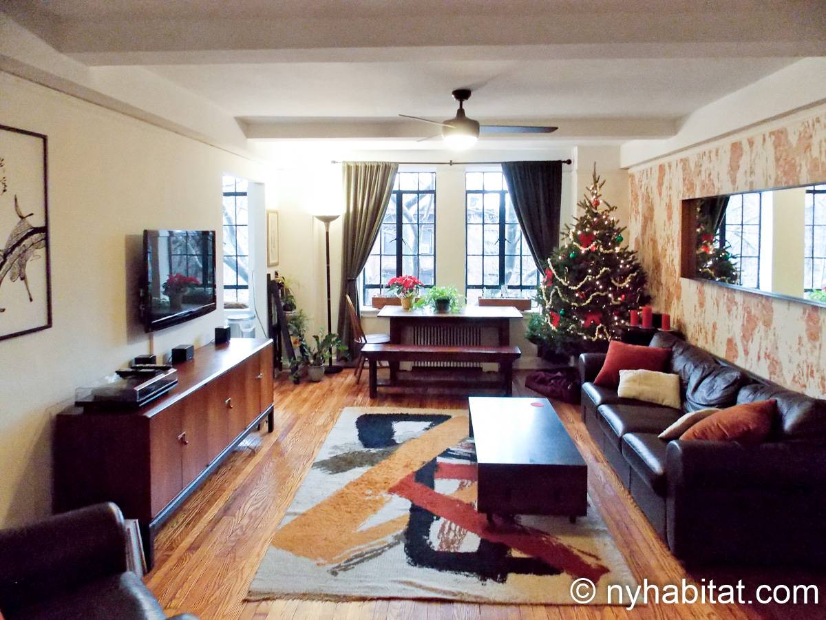 New York Apartment 1 Bedroom Apartment Rental in Fort Greene (NY15651)